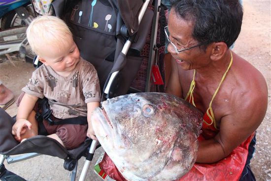 So große Fische haben ganz schön große Köpfe!!!