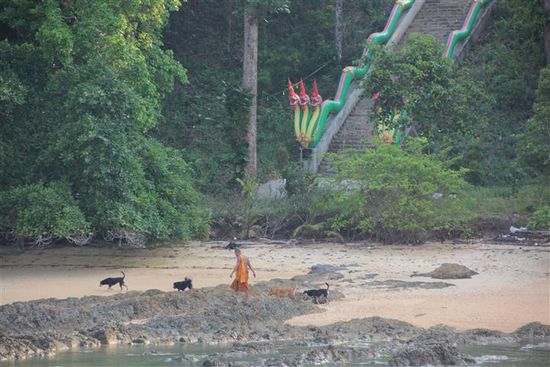 Auf Koh Phayam gehts gemütlich zu...