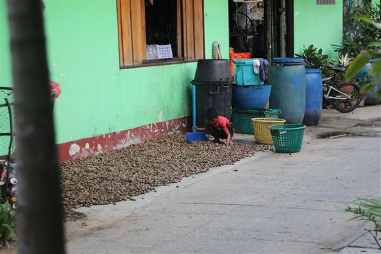 Viele leben vom Anbau von Cashewnüssen, die überall zum trocknen ausliegen. Die ganze Insel duftet danach!