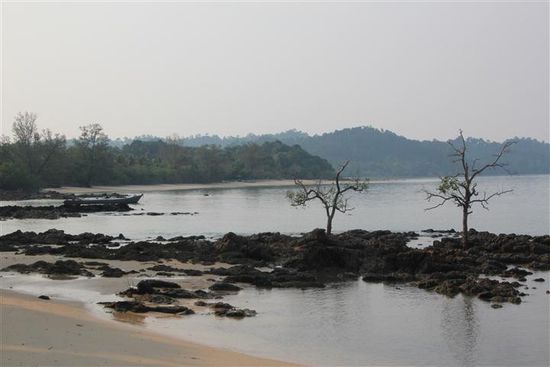 Die Insel wirkt, als hätte man ein Stück Dschungel ins Wasser gesetzt...