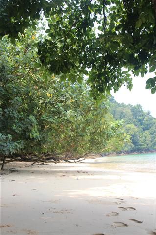 Uns gefällt die Monkey Bay am Besten.