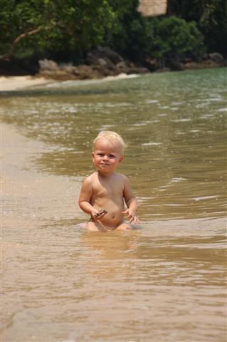 und sammelt Muscheln.