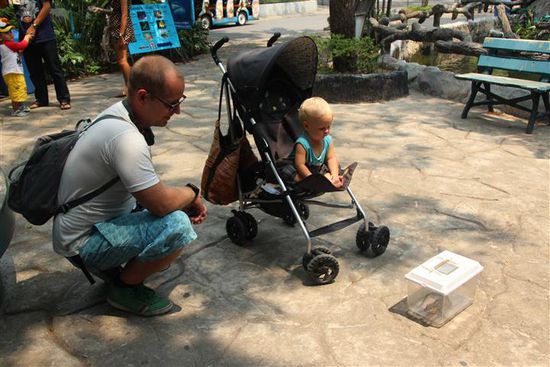 Die Haltungsbedingungen hier sind nicht artgerecht.