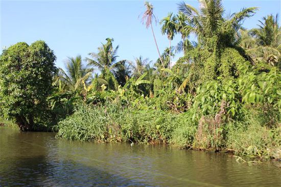 Soooo grün ist`s mitten in der Millionen Metropole.