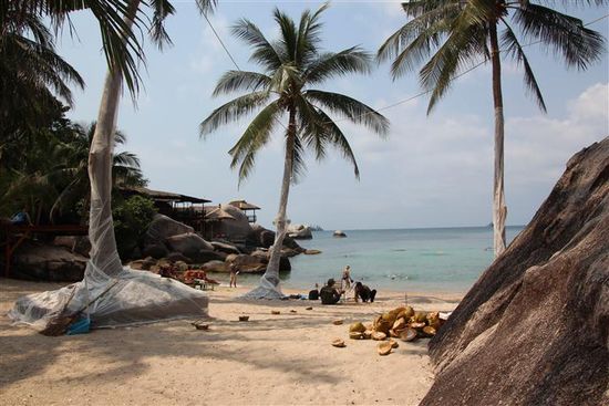 Hochzeitsvorbereitungen...