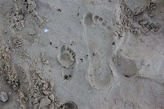 um dann step by step das Laufen zu lernen!!!