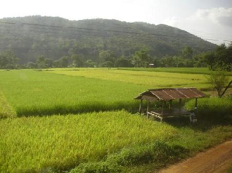 Irgendwo zwischen Ayutthay und Chiang Mai...