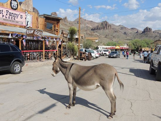 Wild West in Oatman