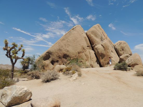 Joshua Tree NP