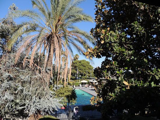 großer Pool, überall Sitzgelegenheiten und freies Internet