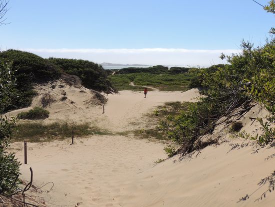 Der Weg zu den See-Elefanten