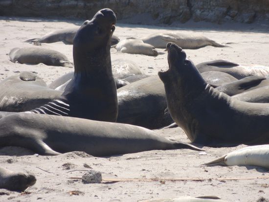 Wie im richtigen Leben!