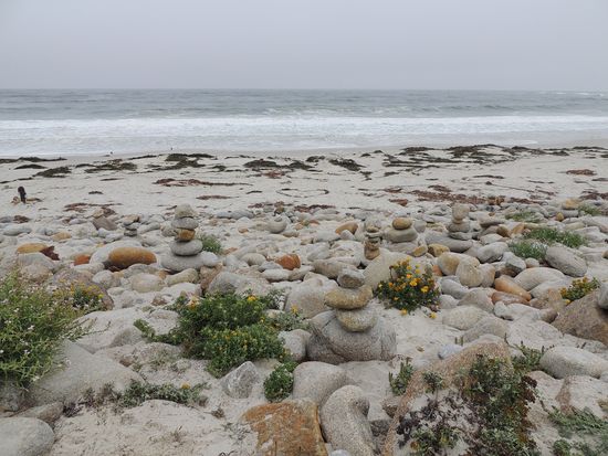 17- Mile Drive