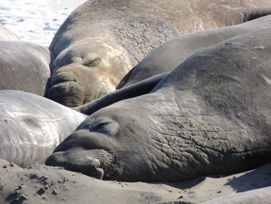 Gute Nacht allen unseren Lieben!