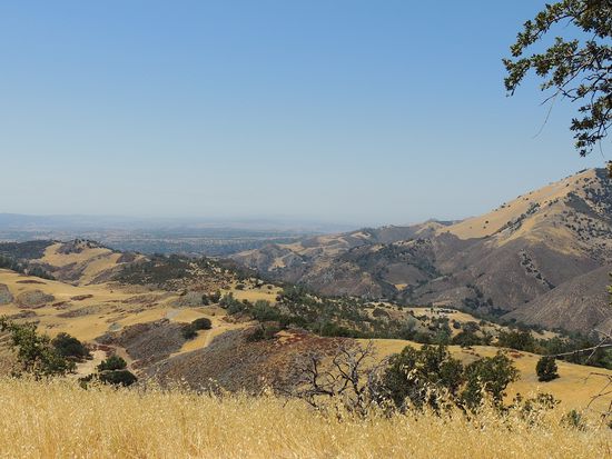 National Forest LOS PADRES