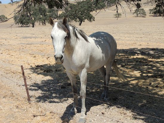 Tschüß für heute, morgen reiten wir nach San Diego!