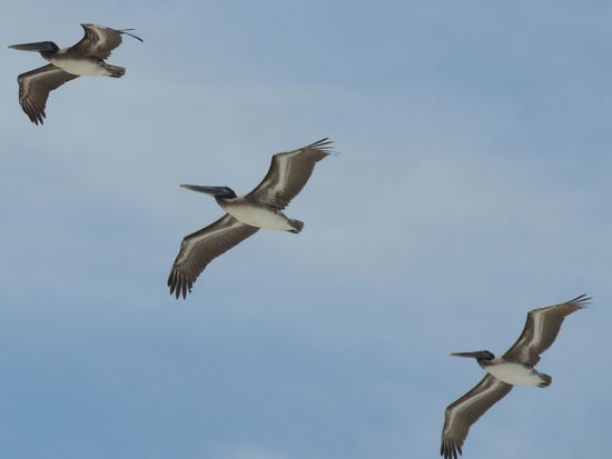 Viele Grüße an Andrea und Jürgen. Wir wünschen euch ebenfalls einen schönen Urlaub!