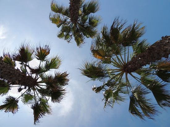Unser Blick beim Relaxen am Strand.