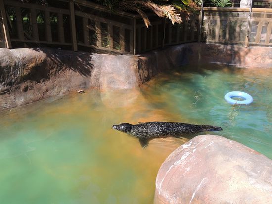 Dann trafen wir ihn.