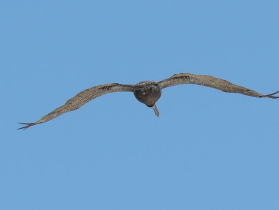 Wir grüßen herzlich unsere Freunde aus Burlington, Joni, Len, Nichole, Christine and Michaela Withehouse.
Dear Friends,
We greet you heartily in California and hope to see you again.
We wish especially Nichole and the baby all the best.