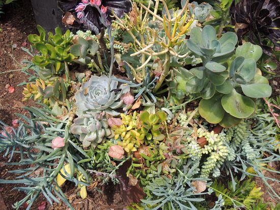 Ganz liebe Grüße gehen heute an Martina und Egbert.