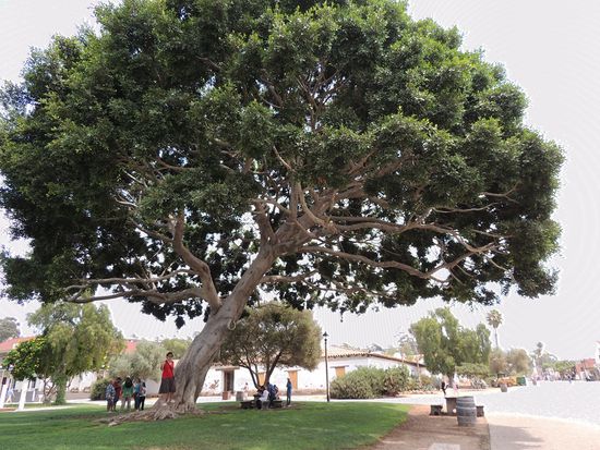 In Amerika ist alles größer- ooooh!