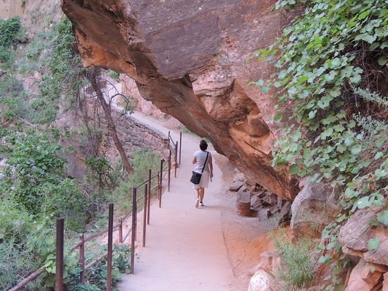 Walk zum Temple of Sinawava