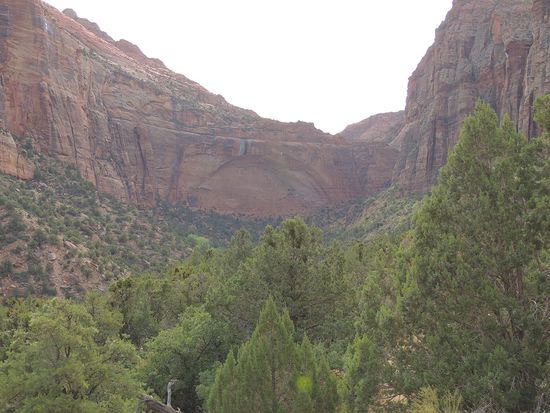 Zion Arche