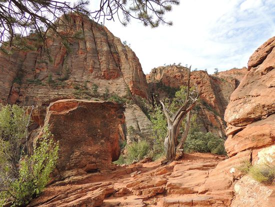 Klettern ist angesagt