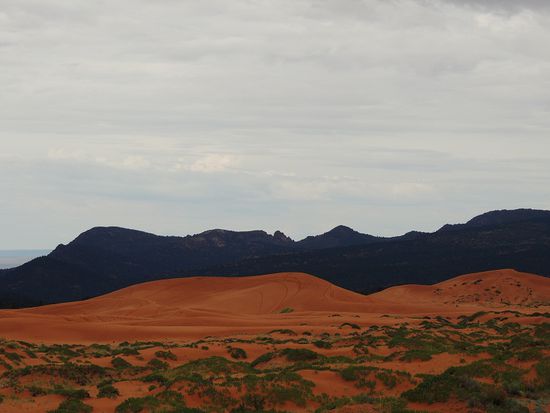 Pink Sand Dunes mit Campground und Bike-und  Qaudfahrten