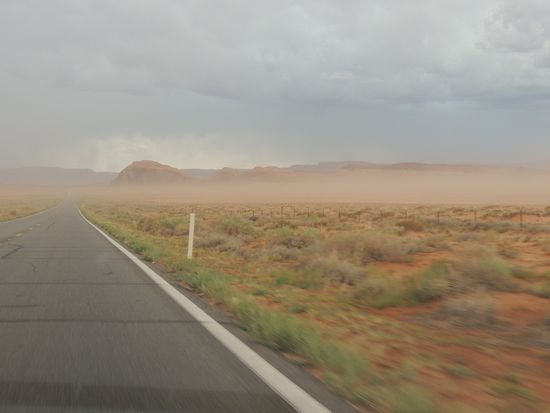 Die Wüste wird lebendig.