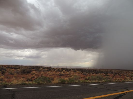 Kein Entkommen mehr!