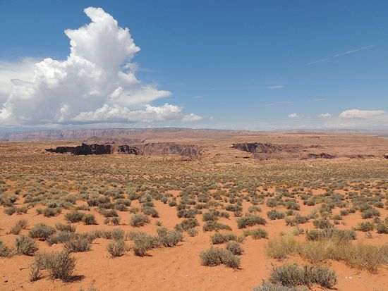 Da hinten muss es irgendwo sein!