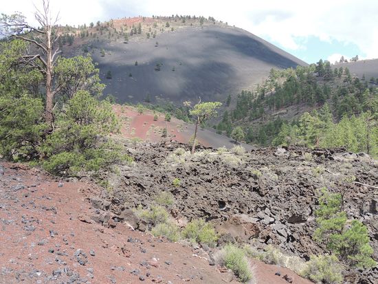 Sunset Crater
Im Visitor Center konnte man die seismologischen Bewegungen verfolgen.
Ganz schön viel Aktivität!