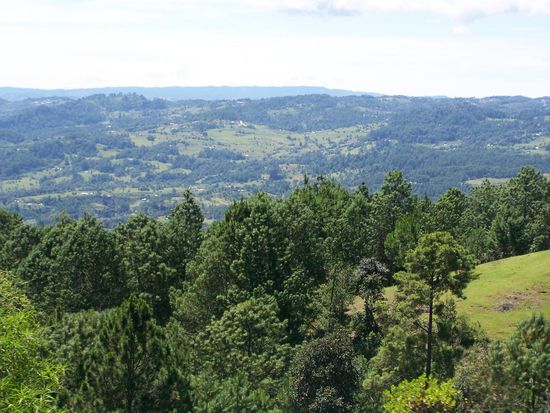 Berglandschaft Richtung Palengue