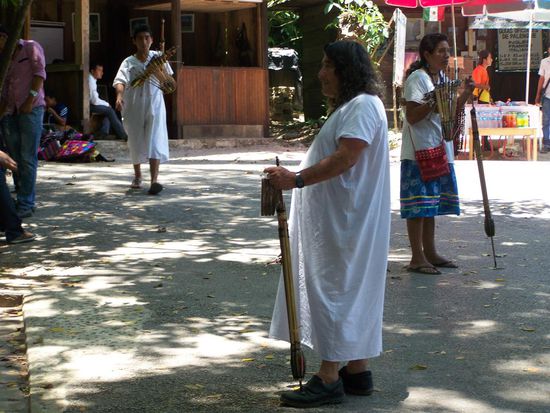 Von ihnen kann man Blasrohre kaufen....