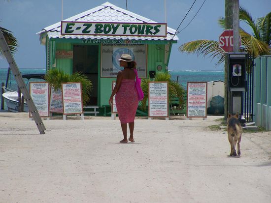 es werden viele verschiedene Touren angeboten
