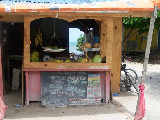 Früchte aller Art...