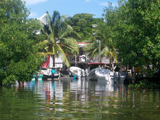 Hier suchen wir nach Seepferdchen...