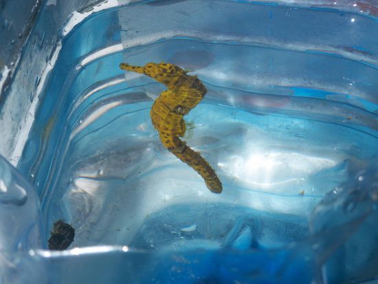 ...und finden welche.