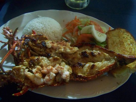 Nein, heute gibt es kein Haifischsteak, sondern Lobster und der schmeckt!