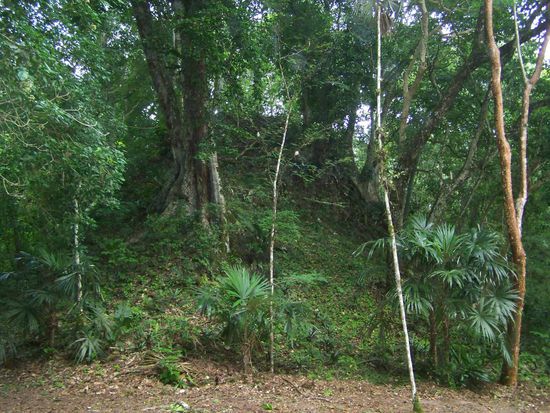 ...oder noch gar nicht frei gelegt.