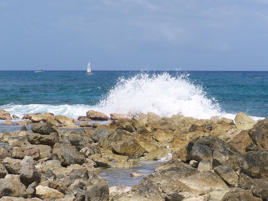Die folgenden Tage werden wir noch in Ruhe verbringen, denn die Heimreise rückt leider schon in unmittelbare Nähe und