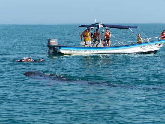 so kommt man ganz nah ran