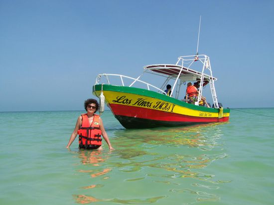 den Flamingos entgegen