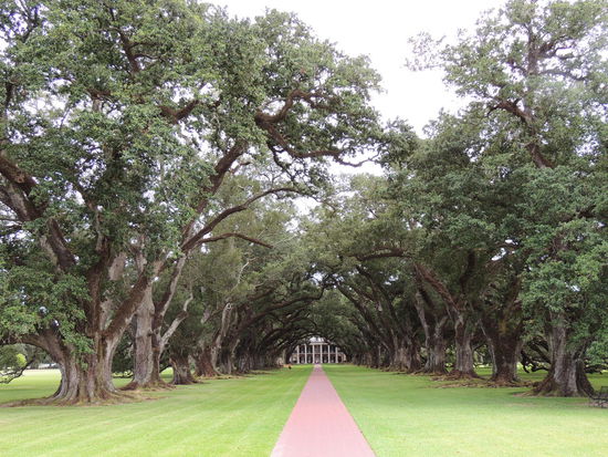 hier ritt Patrick Swayze in "Fackeln im Sturm"