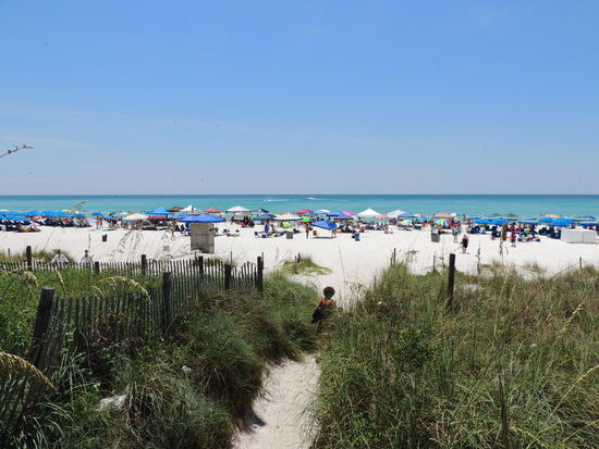 hier sind wir nicht allein