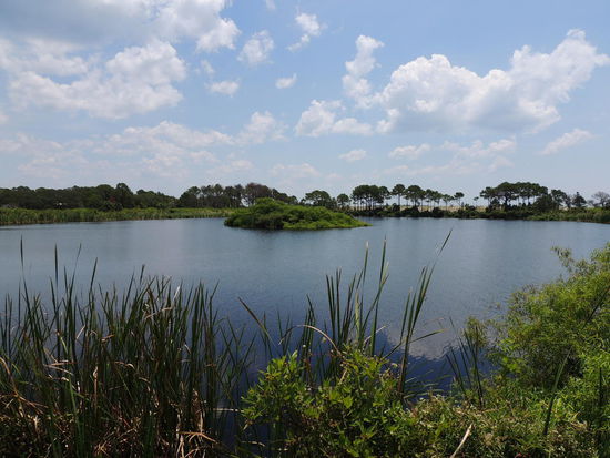 Hier sollen sie sich tummeln.