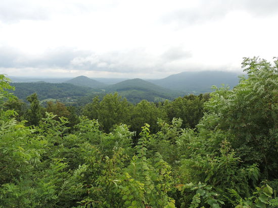 Irgendwo sind Bären.