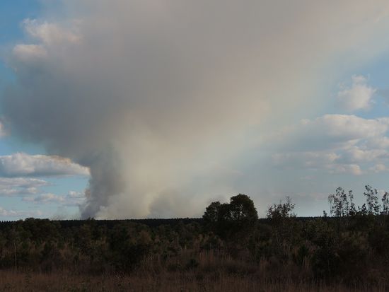 Unterwegs sehen wir Rauchschwaden. Es brennt mächtig und die riesige Qualmwolke ist noch lange zu sehen.